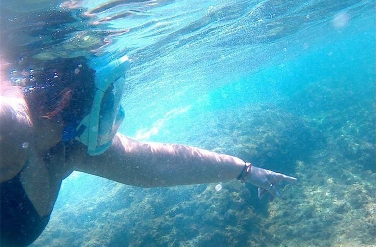 Snorkeling con Serapia